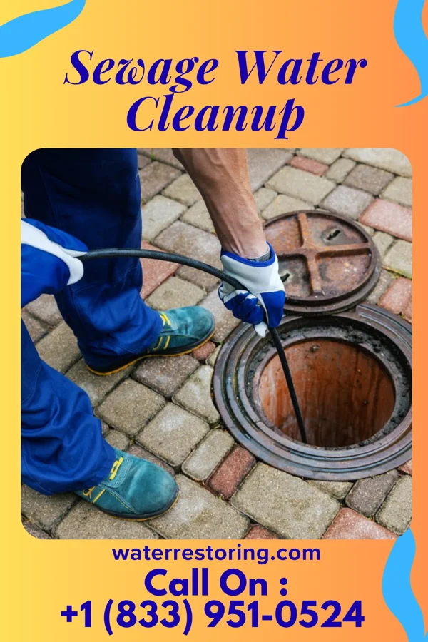 Sewage Water Cleanup in Kelso, MO